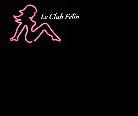 Club Félin 封面