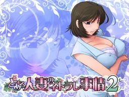 とある人妻のネトラレ事情 2