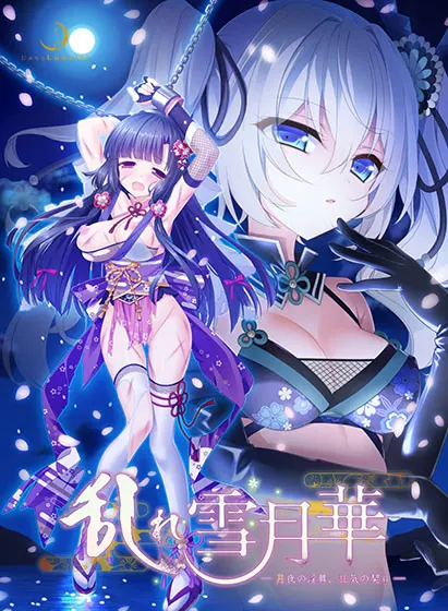 乱れ雪月華 ~月夜の淫舞、狂気の契り~