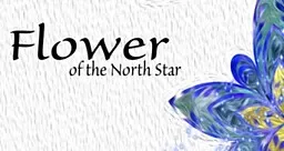 Flower of the North Star 封面
