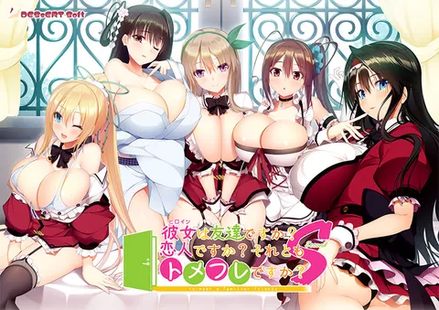 彼女は友達ですか？　恋人ですか？　それともトメフレですか？ Second