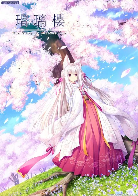 瑠璃樱