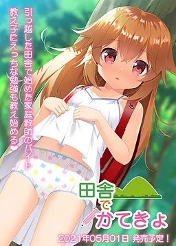 田舎でかてきょ