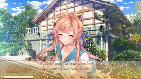CG 06