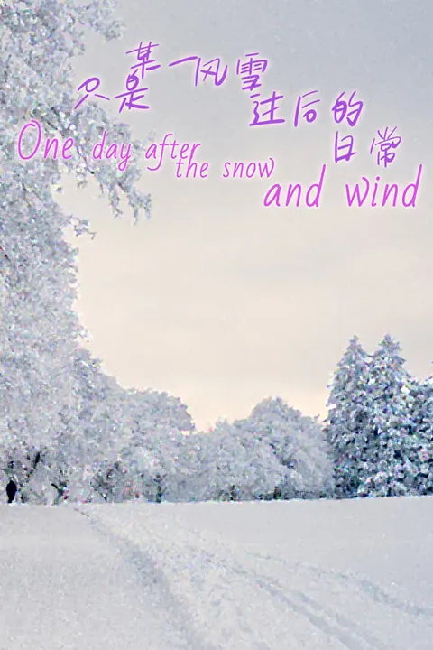 只是某一风雪过后的日常