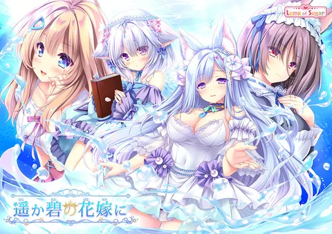 献给蔚蓝之海的新娘