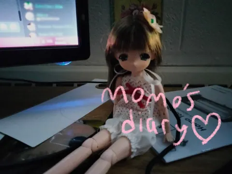 Momo's Diary 封面