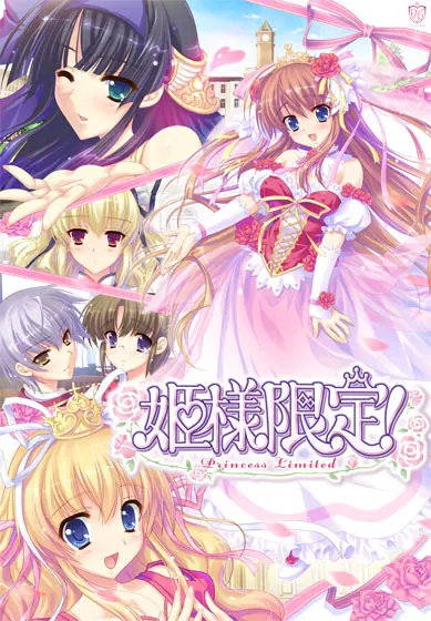 姬样限定!~Princess Limited~