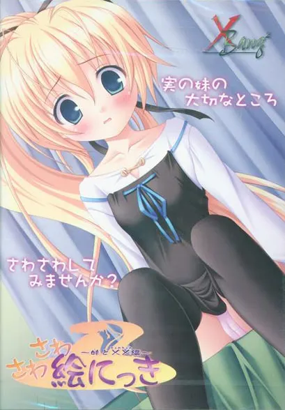 さわさわ絵にっき~妹と××編~ 封面