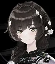 琼花