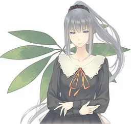 Yatsushiro Yuzuriha