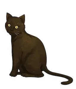 Tina